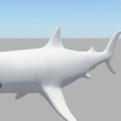 Lowpoly Sea Shark