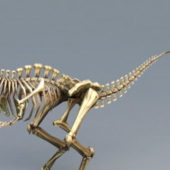 Skeletal Dinosaur