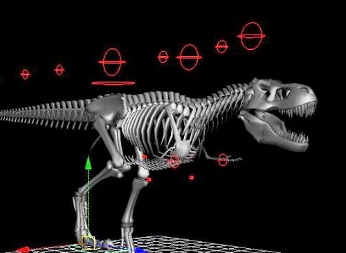 Skeletal Tyrannosaurus Rex Rigged | Animals