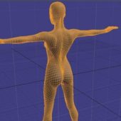 Slim Girl For Rigging | Characters