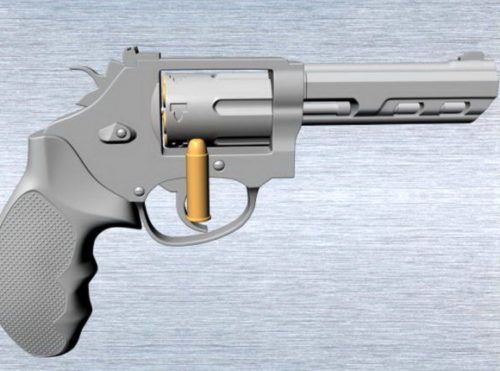 Gun Small Revolver