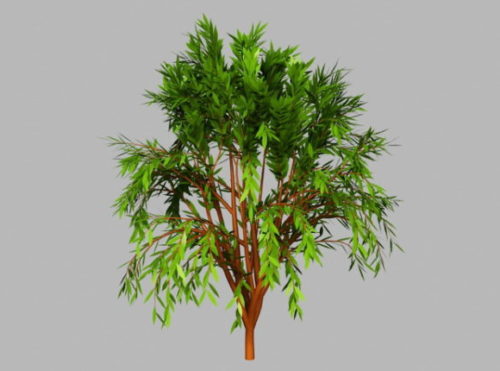 Small Green Willow Tree