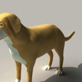 Smooth Collie Dog | Animals