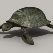 Snapping Tortoise | Animals