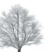 Winter Snow Falling On Tree