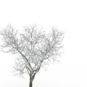 Winter Snowy Bare Tree