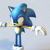 Sonic Cartoon Character
