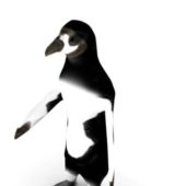 South American Penguin Low Poly Animal Animals