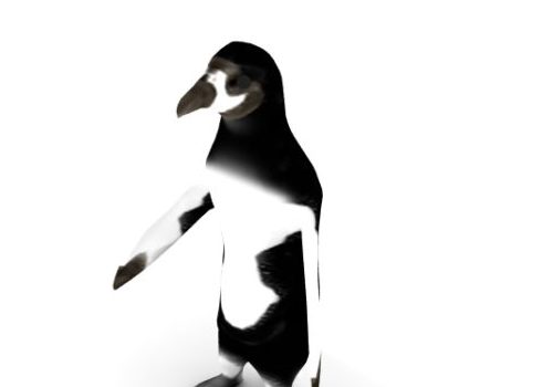 South American Penguin Low Poly Animal Animals