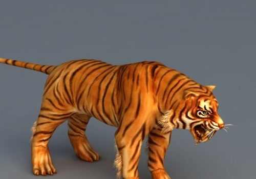 South China Tiger Animal