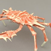 Spider Crab | Animals