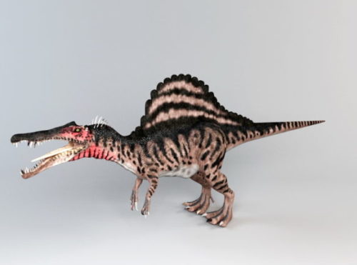 Animal Spinosaurus Dinosaur