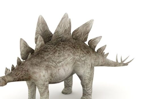 Wild Stegosaurus Dinosaur Animals