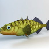 Animal Stickleback Fish