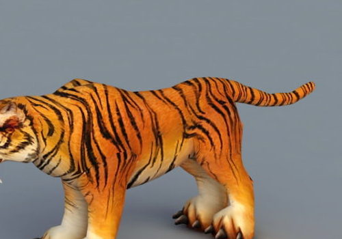 Sumatran Tiger Animal
