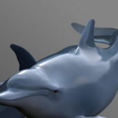 Swimming Dolphin Sea Animal