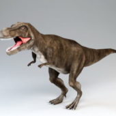 Animal T Rex Dinosaur