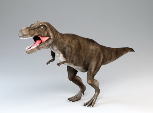 Animal T Rex Dinosaur