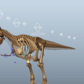 T-rex Dinosaur Skeleton Rigged