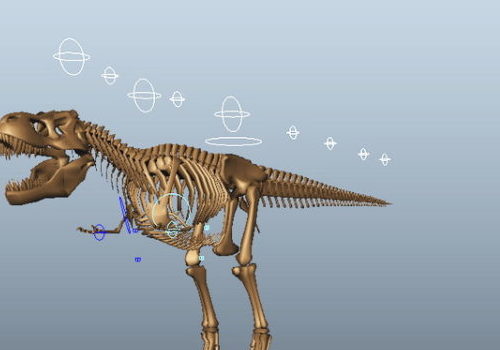 T-rex Dinosaur Skeleton Rigged