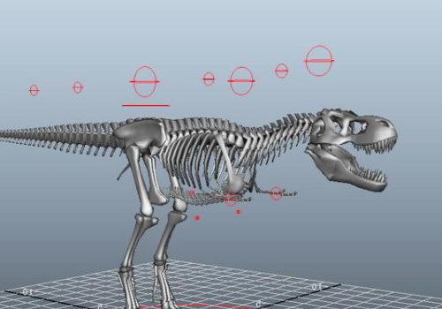 Dinosaur T-rex Skeleton Rigged