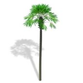 Garden Tall Palm Tree