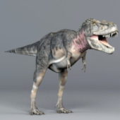 Animal Tarbosaurus Dinosaur
