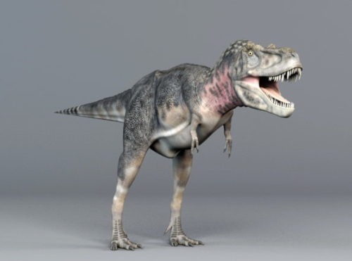 Animal Tarbosaurus Dinosaur