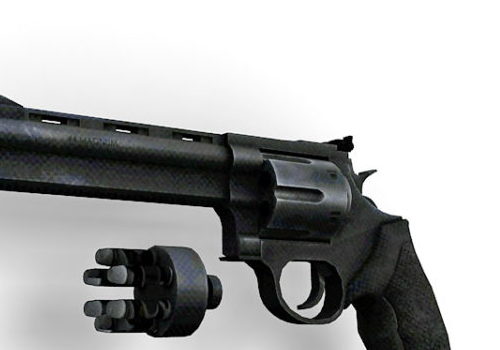 Gun Taurus 44 Mag Revolver