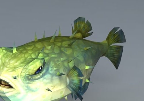 Animal Tetraodontidae Pufferfish