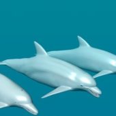 Three Dolphins Fish