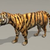 Animal Tiger With Rig