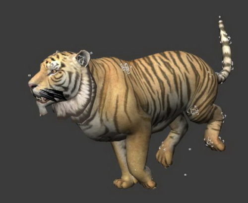 Animal Tiger Running Animated