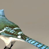 Realistic Swallow Bird | Animals