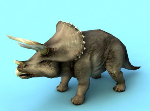 Animal Triceratops Dinosaur