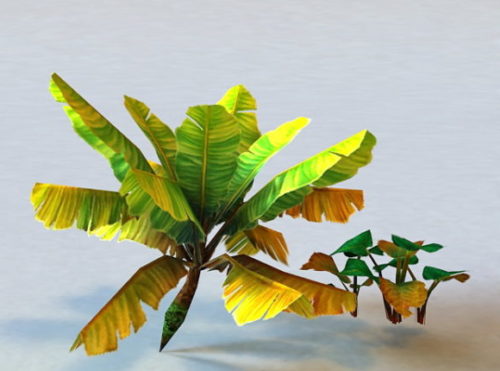 Nature Tropical Plant Low Poly