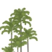 Nature Tropical Plants Palm Trees