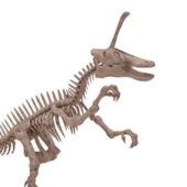 Tsintaosaurus Skeleton Animals