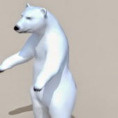 Tundra Animals Polar Bear | Animals