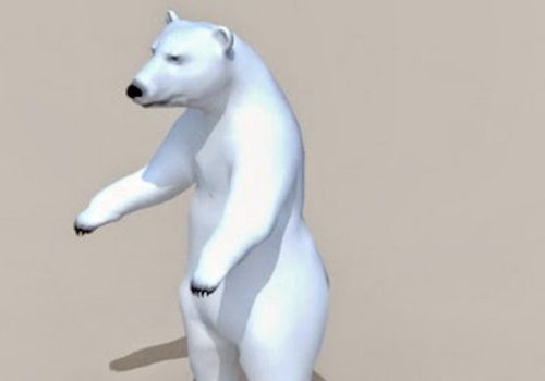 Tundra Animals Polar Bear | Animals