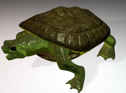 Animal Turtle Figurine