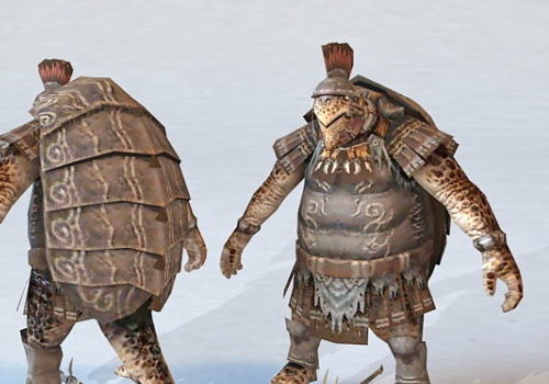 Turtle Warrior Character