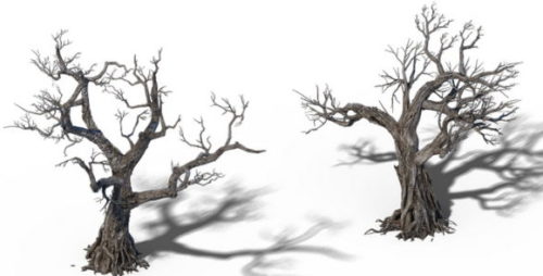 Dead Trees Collection