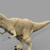 Tyrannosaurus Dinosaur | Animals