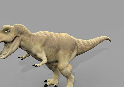 Tyrannosaurus Dinosaur | Animals