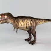 Tyrannosaurus Rex Animal