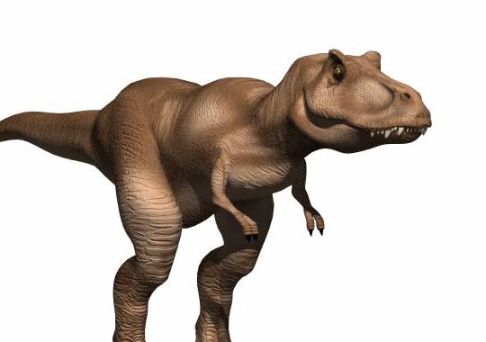 Tyrannosaurus Rex Dinosaur Animal V1