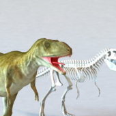 Tyrannosaurus Rex And Skeleton | Animals
