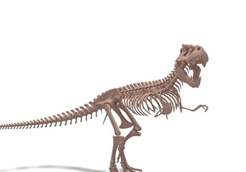 Tyrannosaurus Skeleton Animals