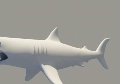 Lowpoly Sea Shark Animal